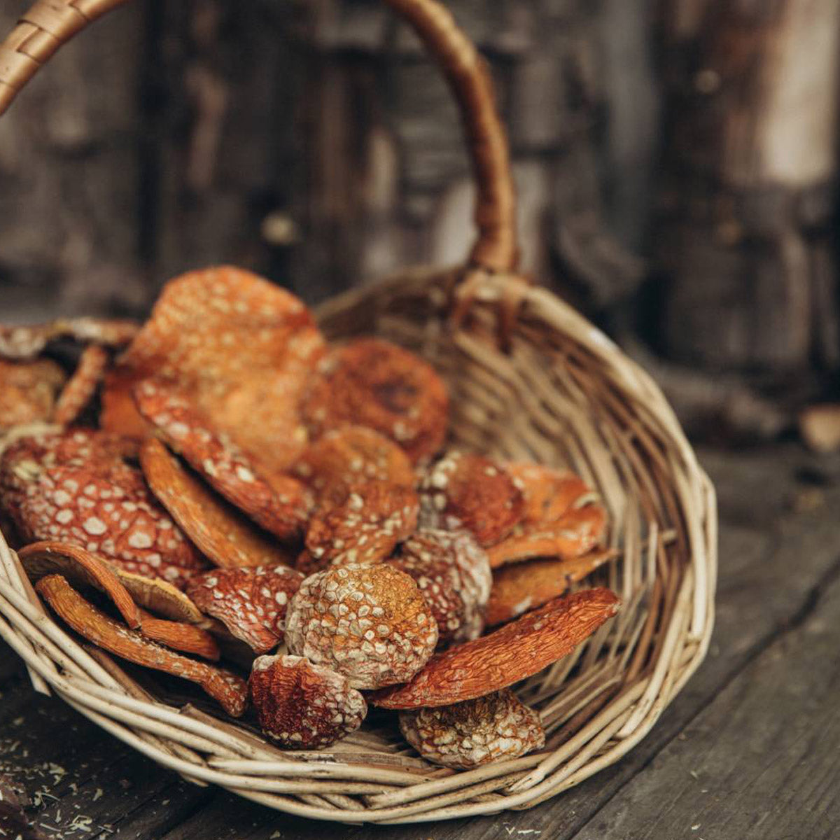 Цілі капелюшки мухомора червоного вищого сорту