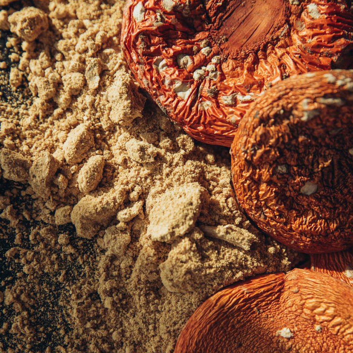 3. Amanita Muscaria – dried, powder