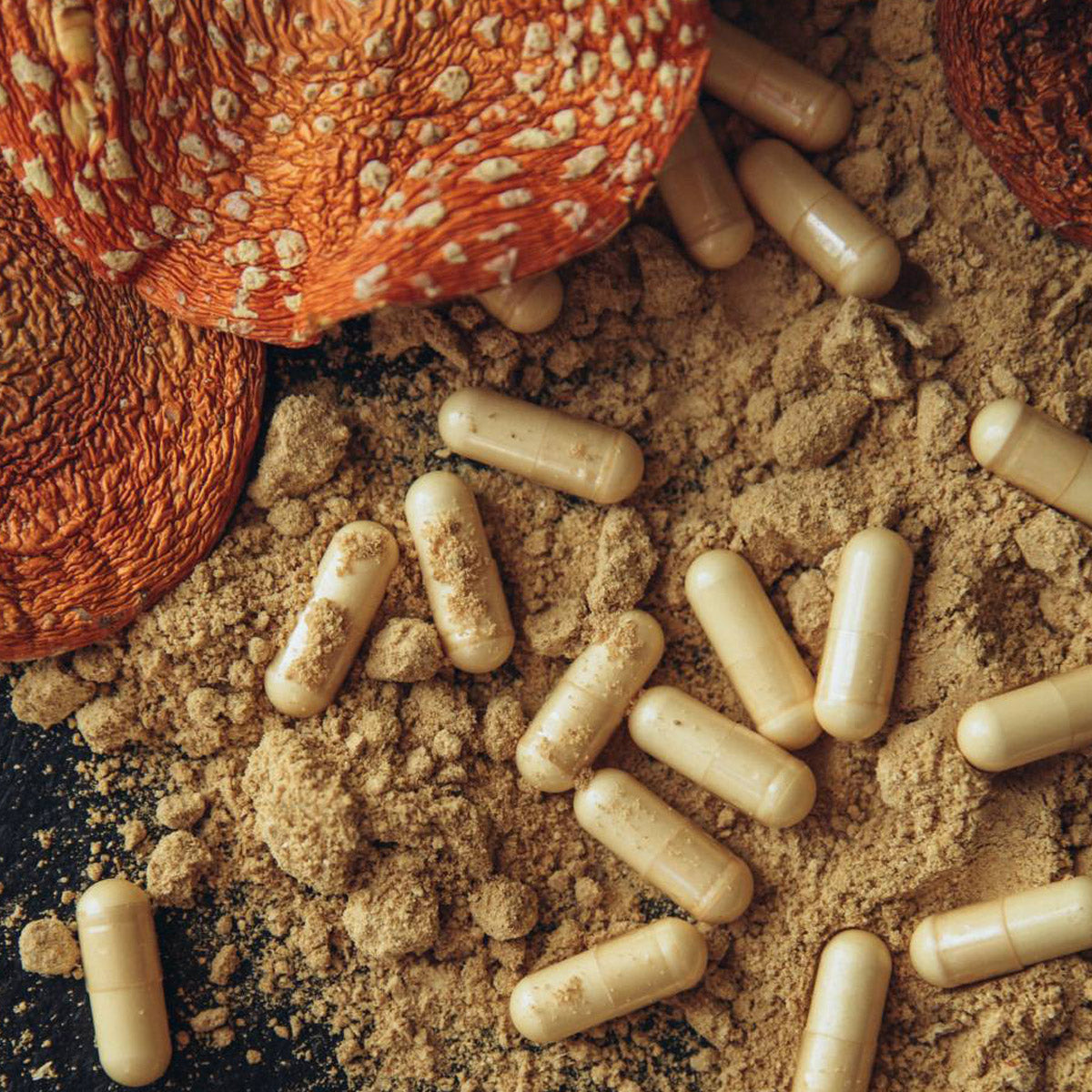 Мухомор червоний в капсулах