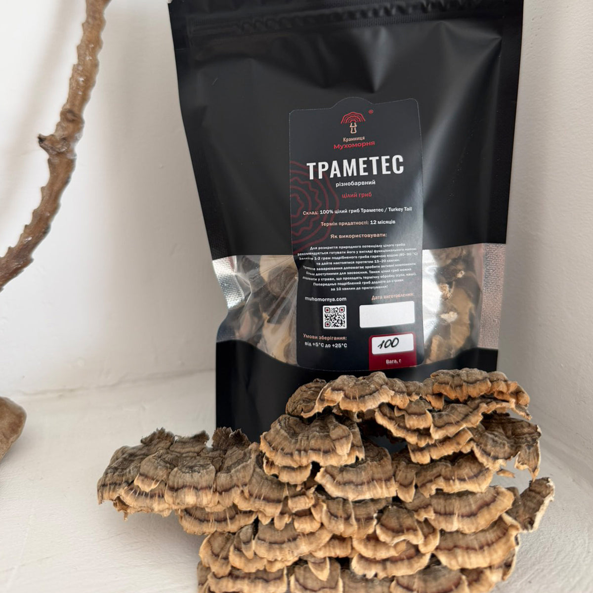 Траметес різнобарвний (Turkey Tail) Цілий гриб