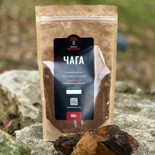 9. Chaga-Pilz