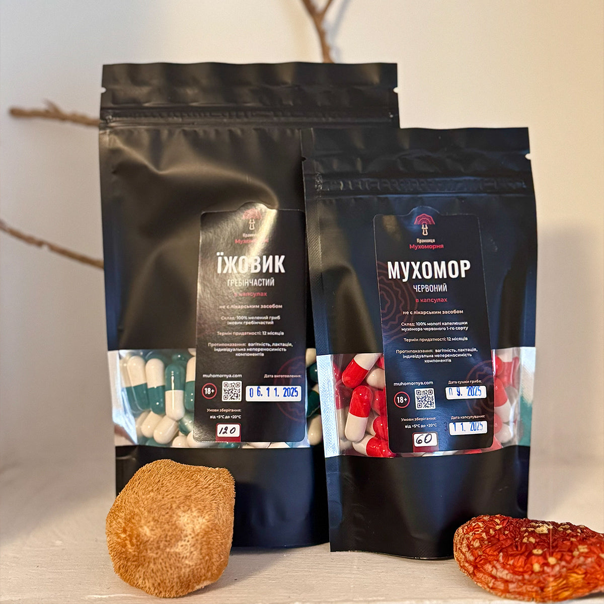 Мухомор червоний та їжовик гребінчастий в капсулах. Курс на місяць