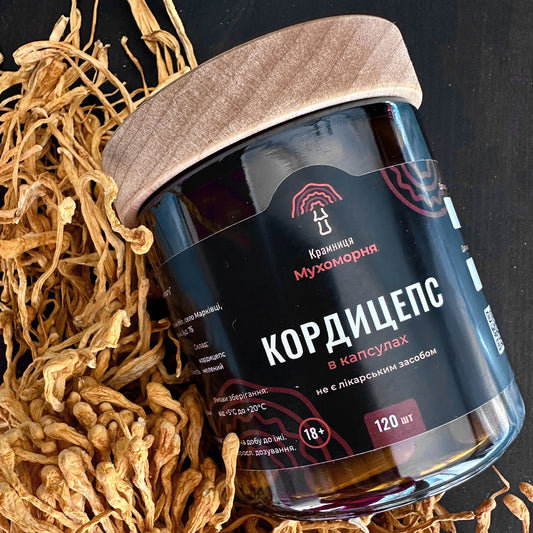 Militärischer Cordyceps in Kapseln