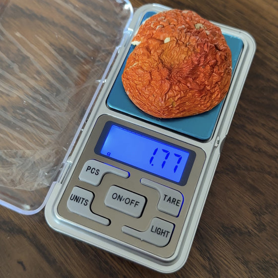 Jewelry scales
