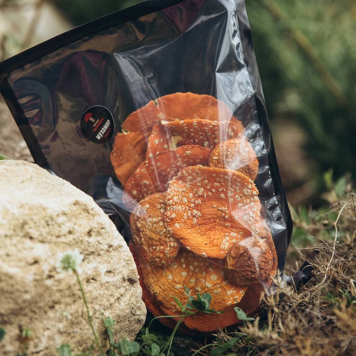Amanita Muscaria Products