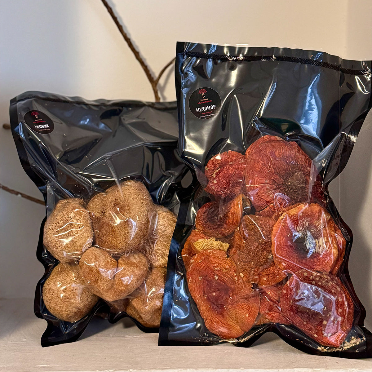 Мухомор червоний та їжовик гребінчастий - цілі капелюшки